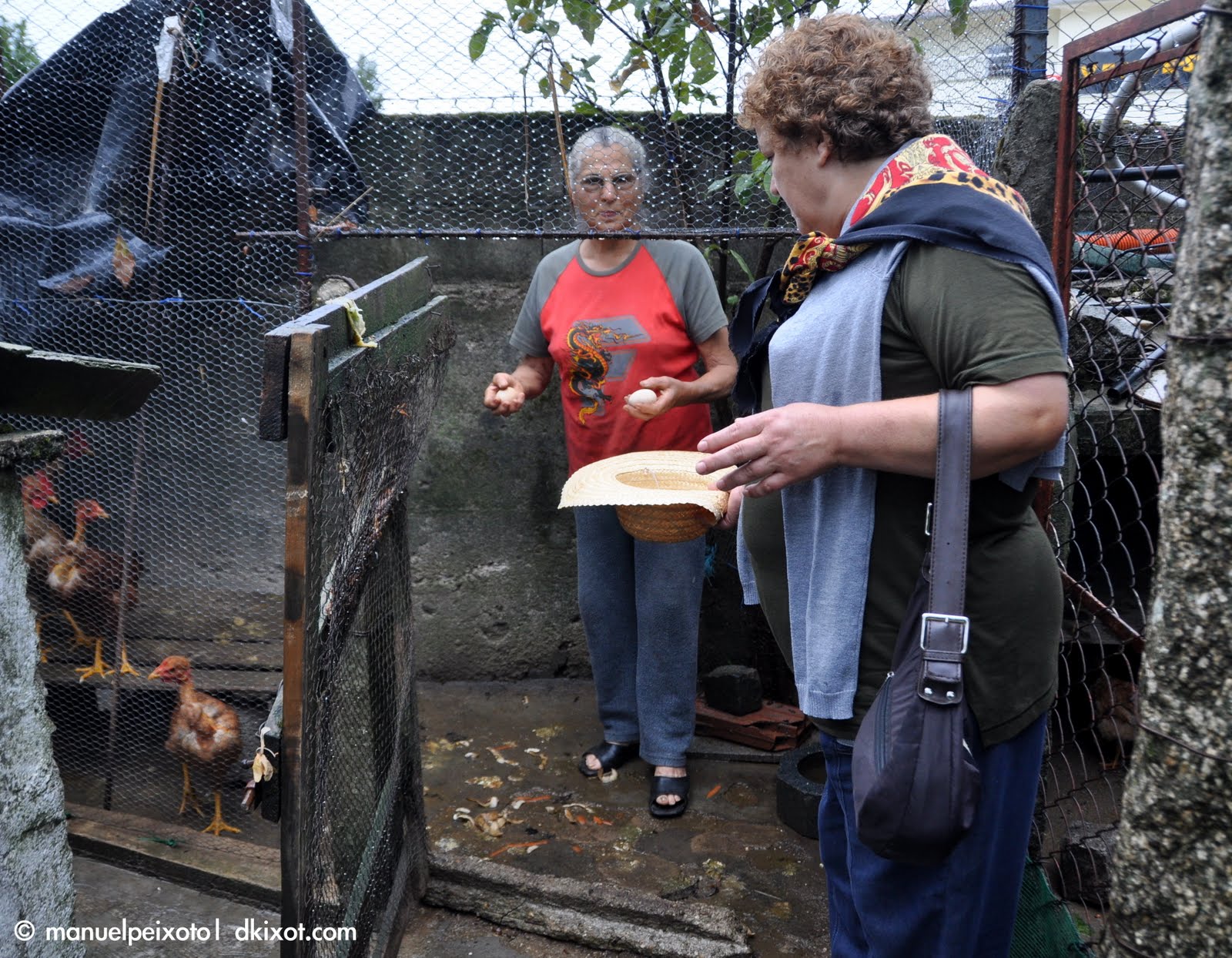 Vamos á Romaria S.Bento da Várzea Barcelos
