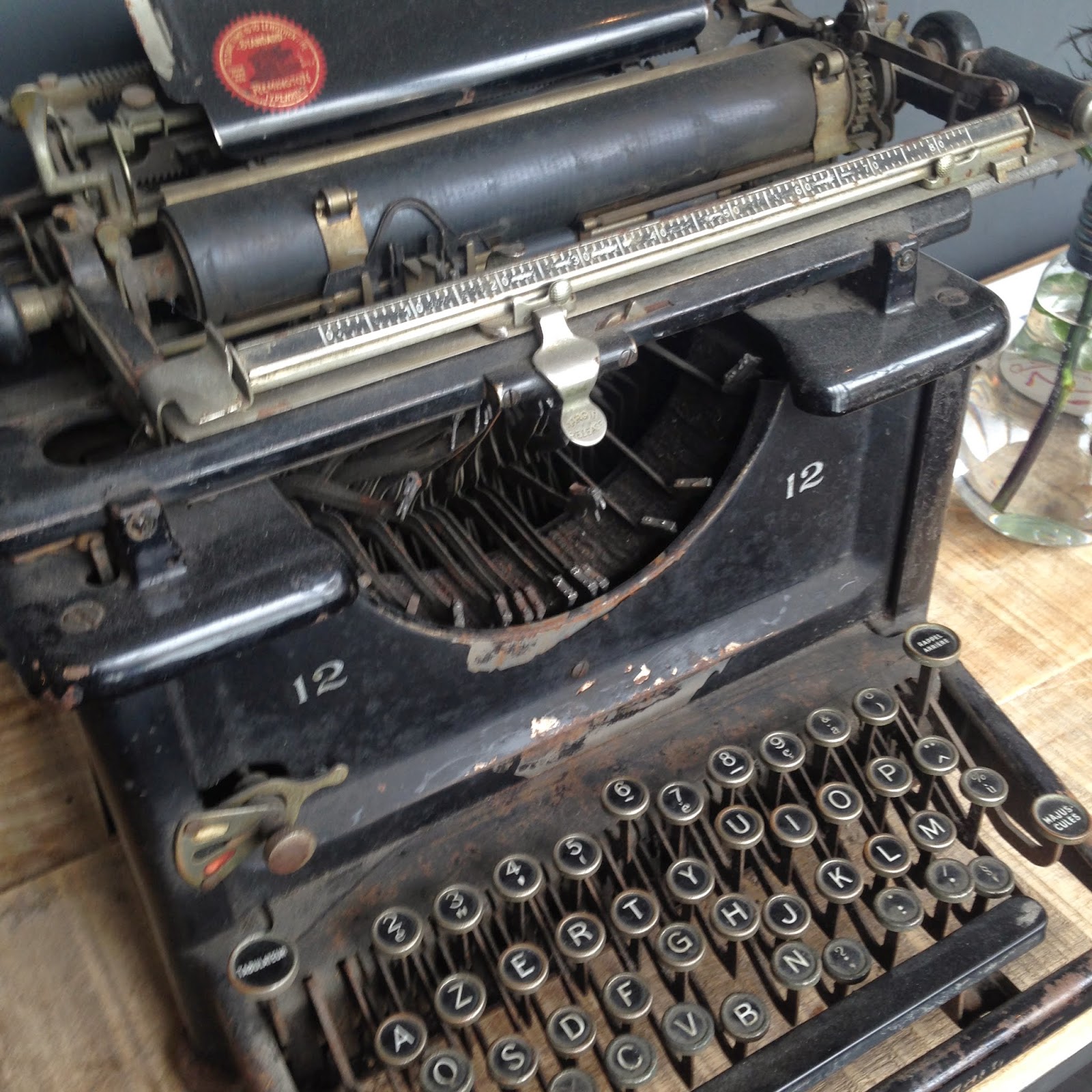 Beauty and the beef essay 07 picture