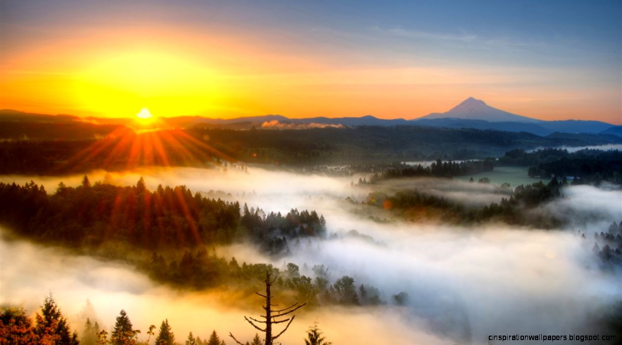 Morning mist mountain sunrise Wallpaper 1366x768 resolution Morning mist mountain sunrise Wallpaper 1366x768 resolution