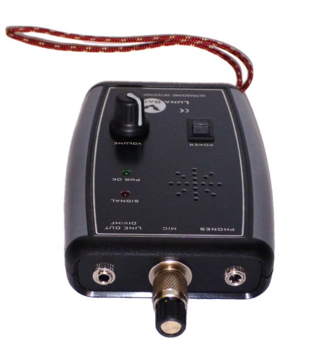 Bat Detector Reviews February 2013