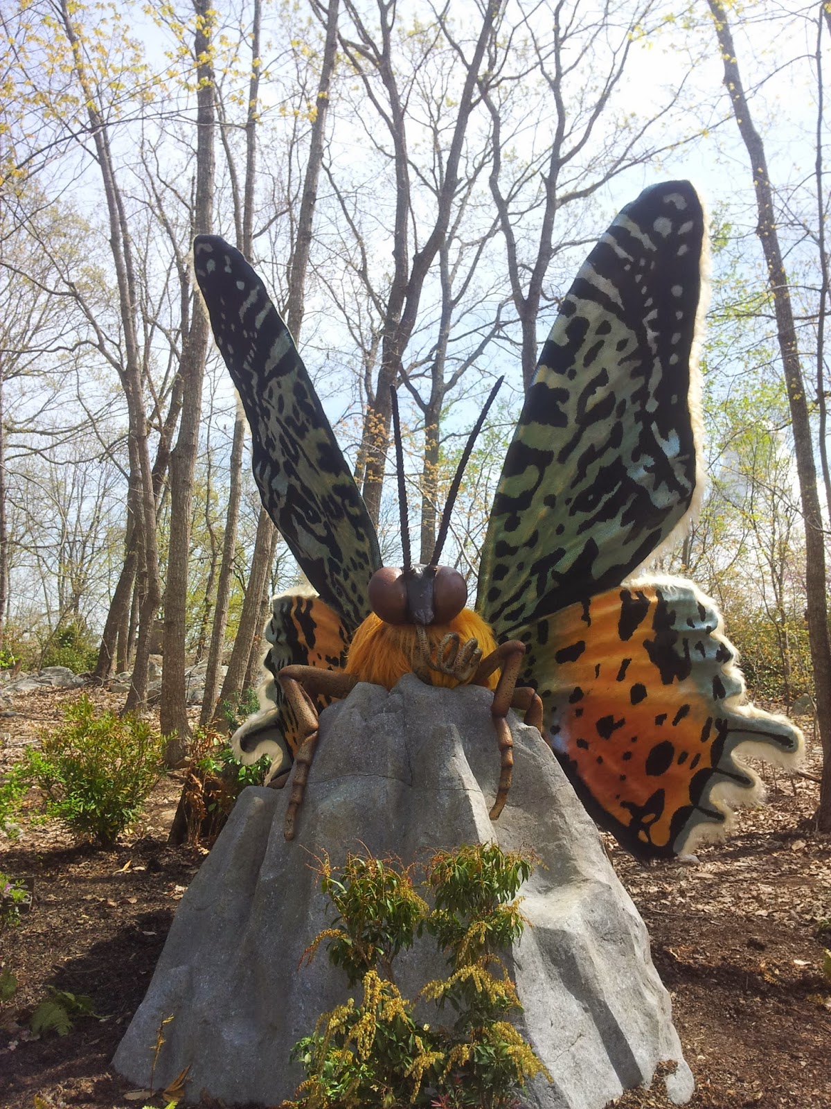 Mom's Thumb Reviews North Carolina Zoo Insects