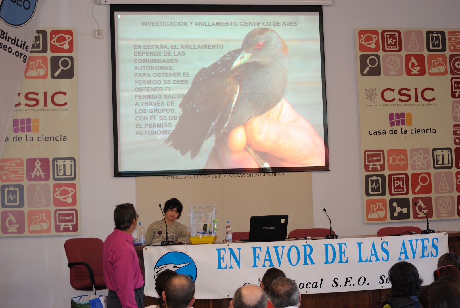 XV Curso de Iniciación a la Ornitología, Edición 2015. Organiza el Grupo Local SEO-Sevilla de SEO/BirdLife. Ponencias.