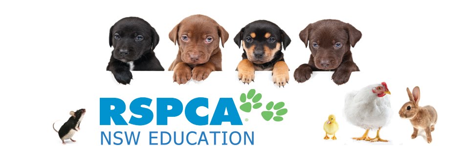 RSPCA NSW Education