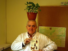 ha estallado la primavera