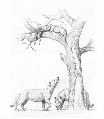 The Megistotherium was a