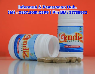 GENDIZ Capsule Obat Herbal Diabetes/ Kencing Manis 