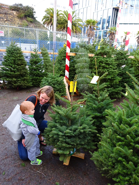 EmilyStyle How to Get a Christmas Tree in San Francisco