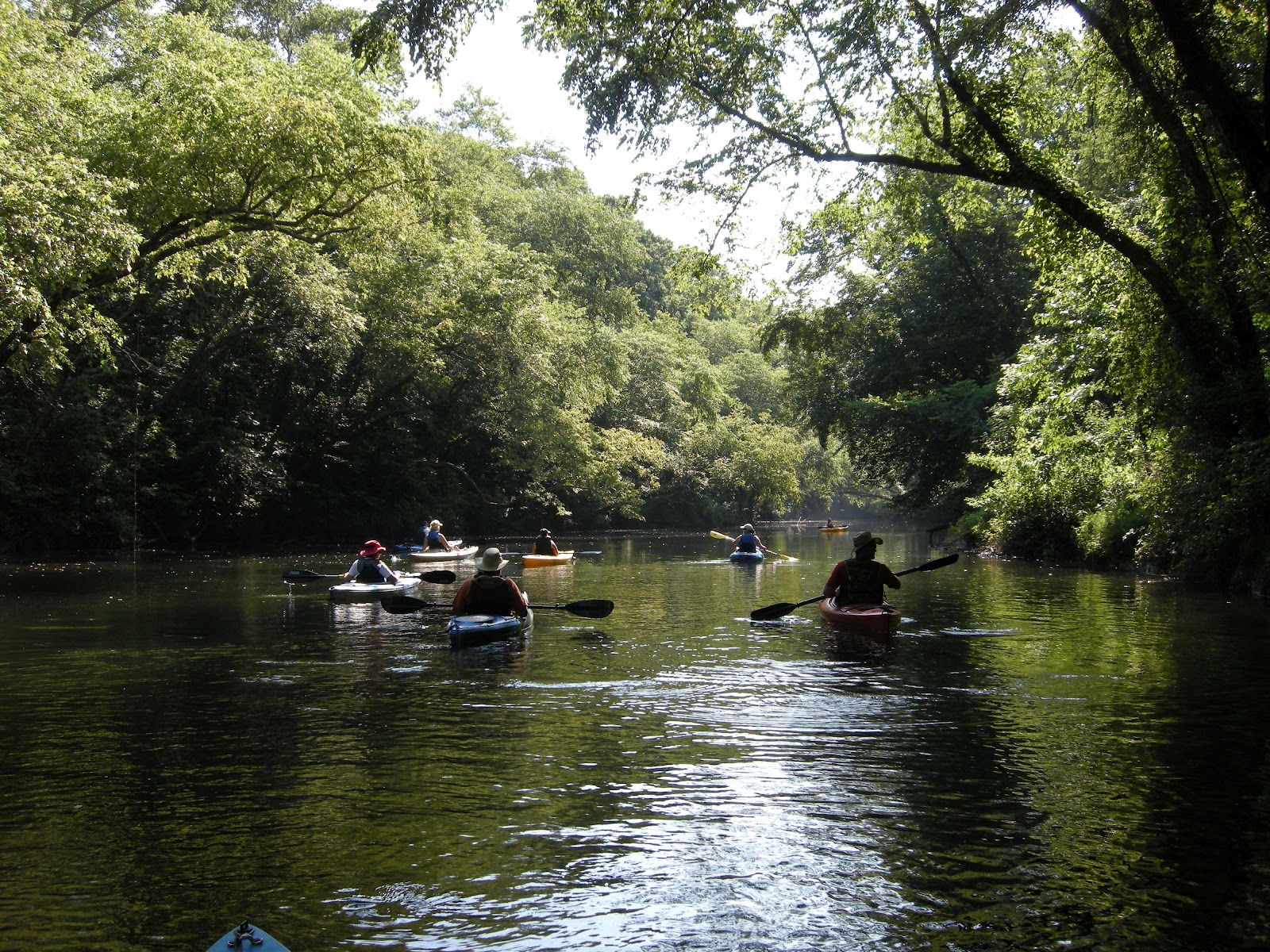 Lake Anna Kayak Club June 23 North Anna River Expedition