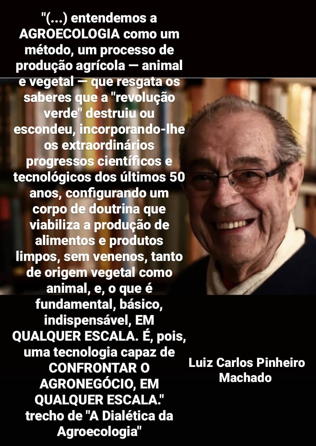 Luiz Carlos Pinheiro Machado