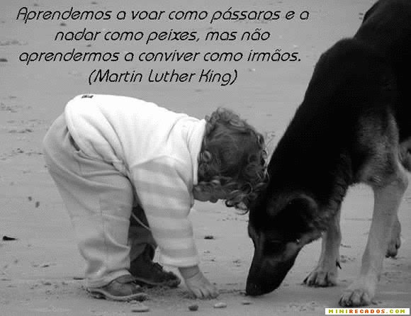 Frases Em Portugues Da Vida
