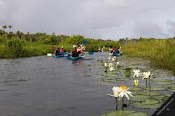 Bush Bush Wildlife Sanctuary, Trinidad