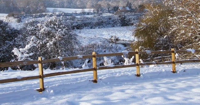 Post and Rail Fence in the snow