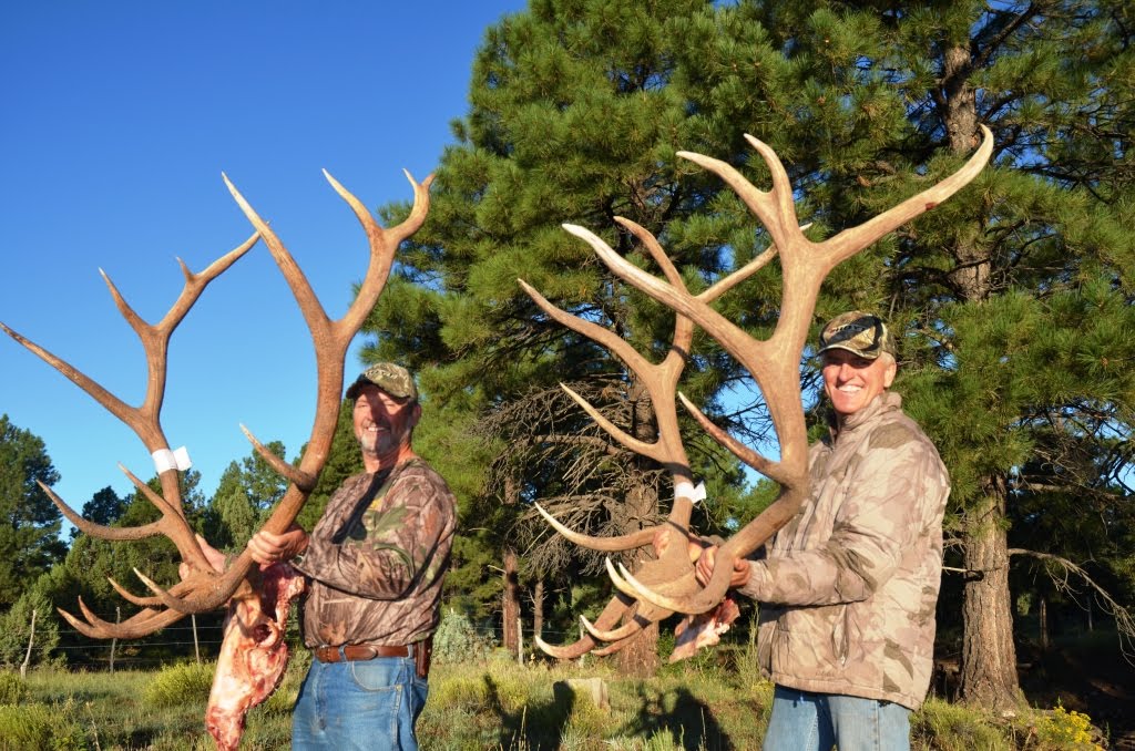 Jay Scott Outdoors Ulmer Broadhead