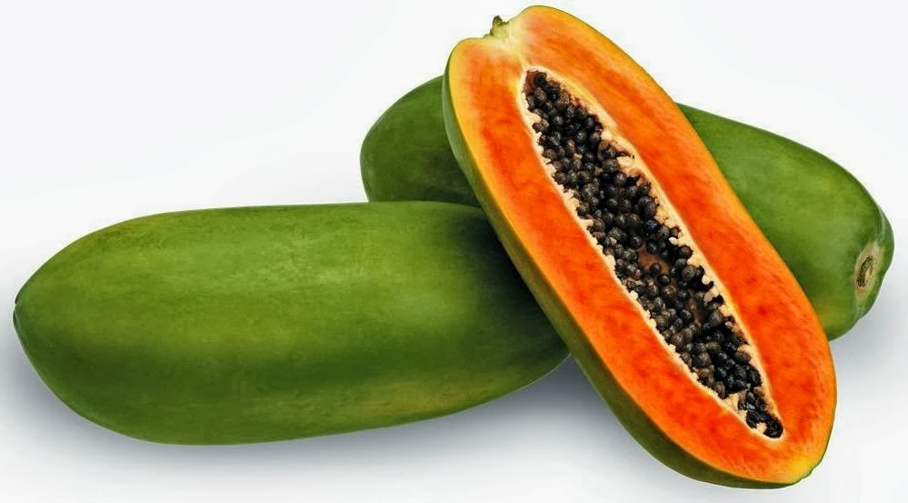 Pepaya (Carica papaya L.) - artikel - - Sudarminto Setyo Yuwono