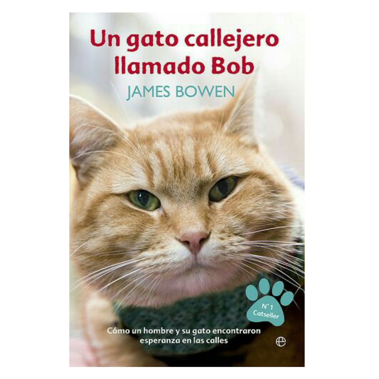 un gato callejero llamado bob