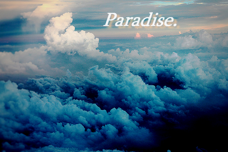 Paradise.