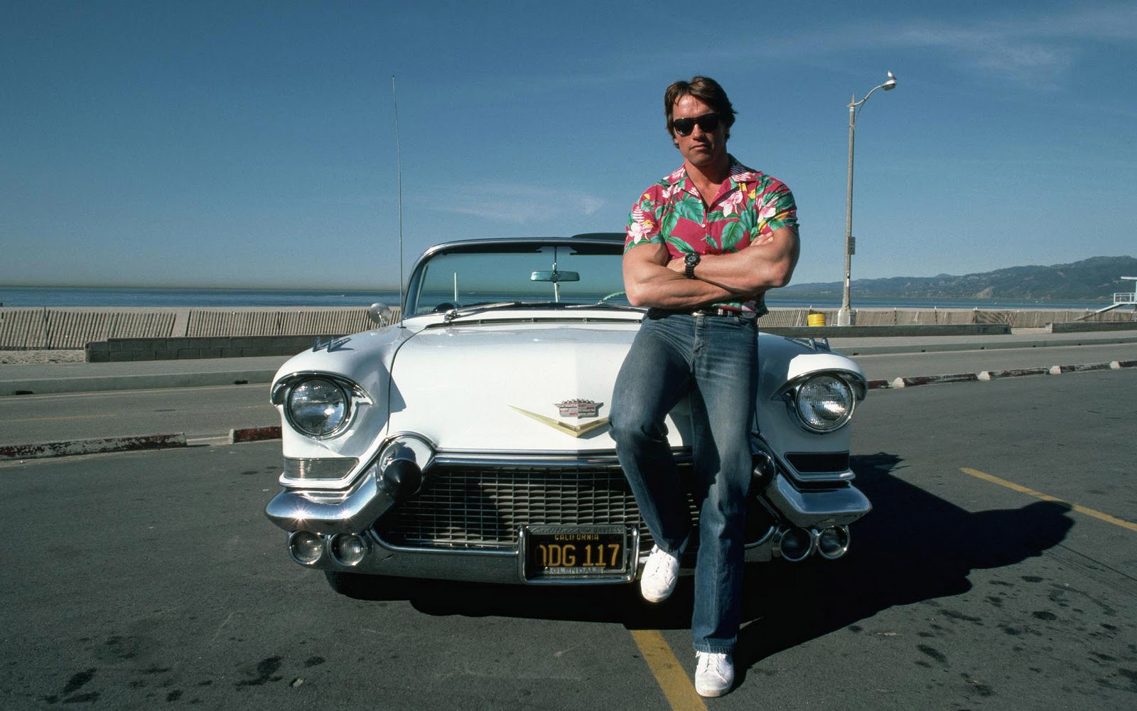 The Wallpapers: Arnold Schwarzenegger