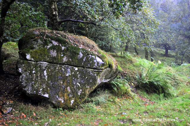 Wild Wicklow Tour in Dublin