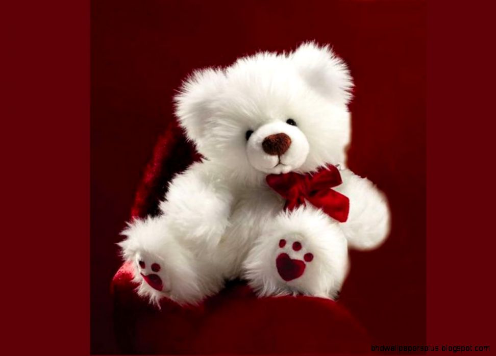 25 Smart Looking Teddy Bear Wallpapers Life Quotes 25 Smart Looking Teddy Bear Wallpapers Life Quotes