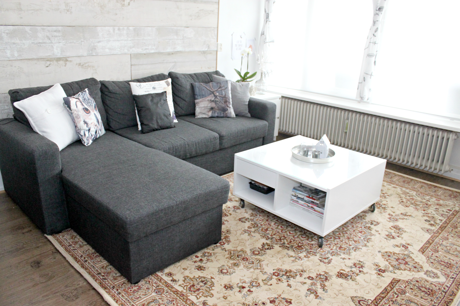 Sklep KOMFORT Akcja „Wymień dywan na nowy” Cleoinspire