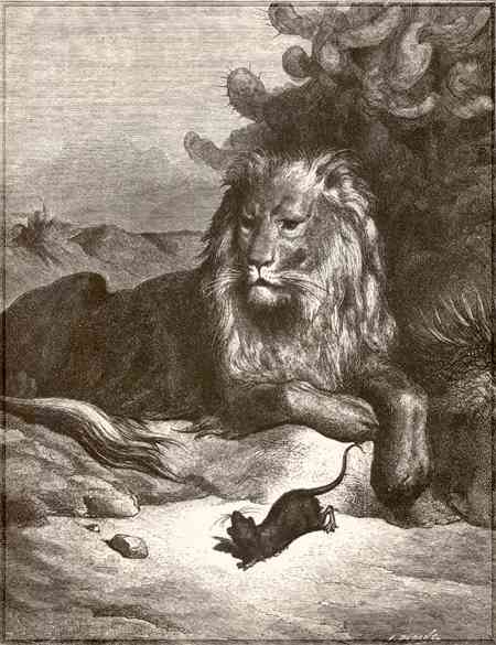 the lion story
