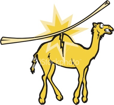 http://3.bp.blogspot.com/-4gXHcFYLdYM/T1ZGxito2II/AAAAAAAAB2w/iRaSQvOFxqM/s1600/straw+that+broke+the+camels+back.jpg
