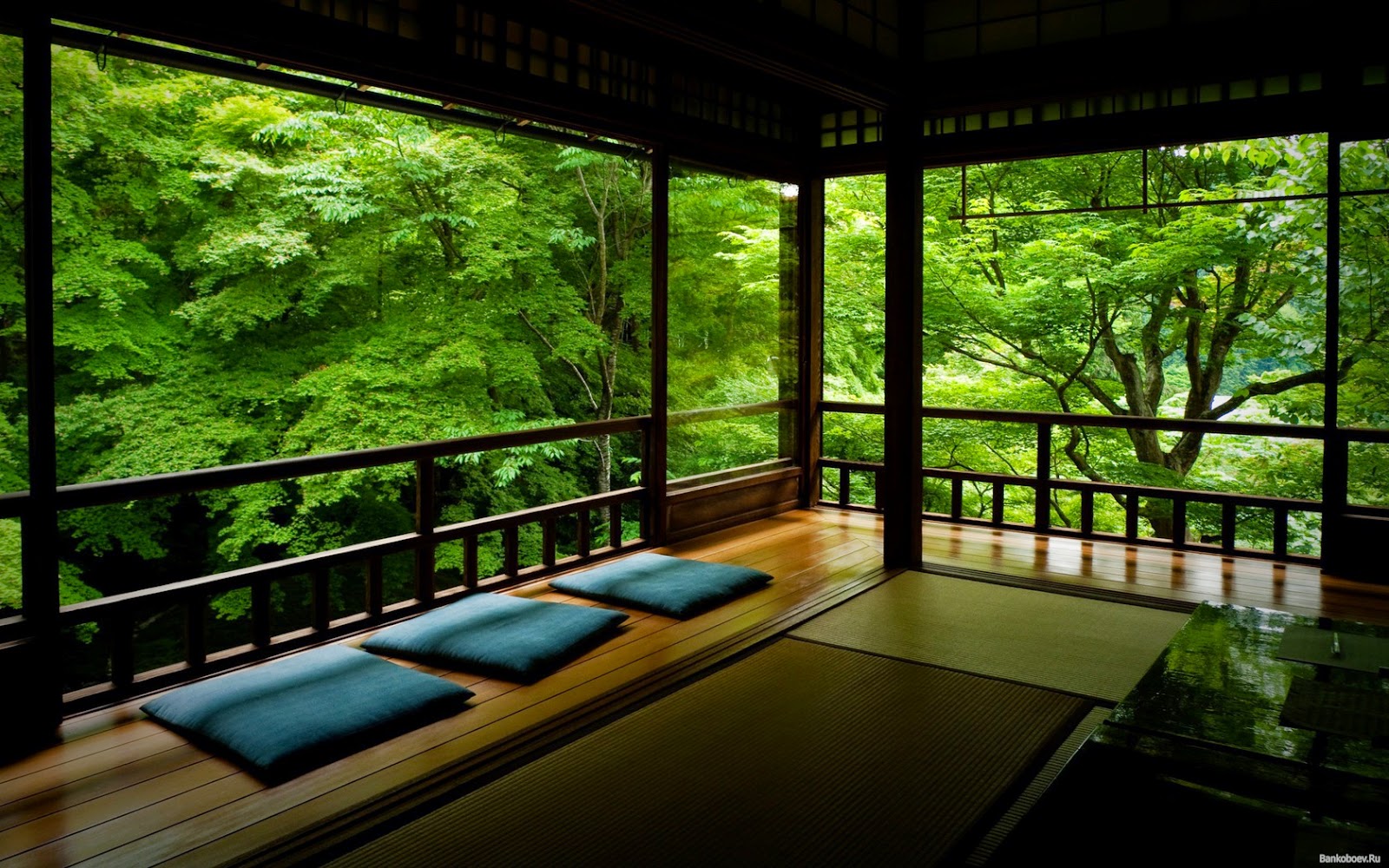masszugu: The Japanese Tea Ceremony
