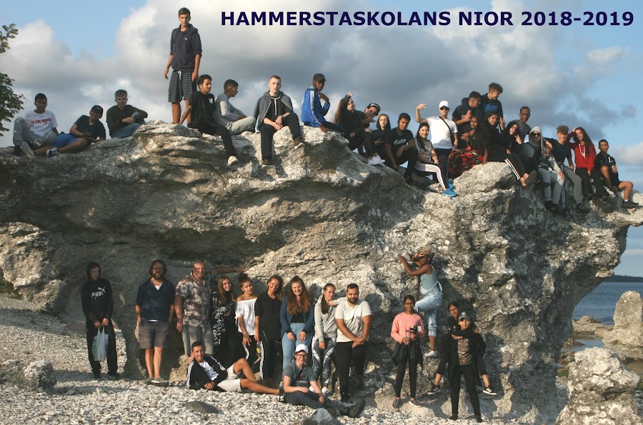 Hammerstaskolans nior 2018-2019
