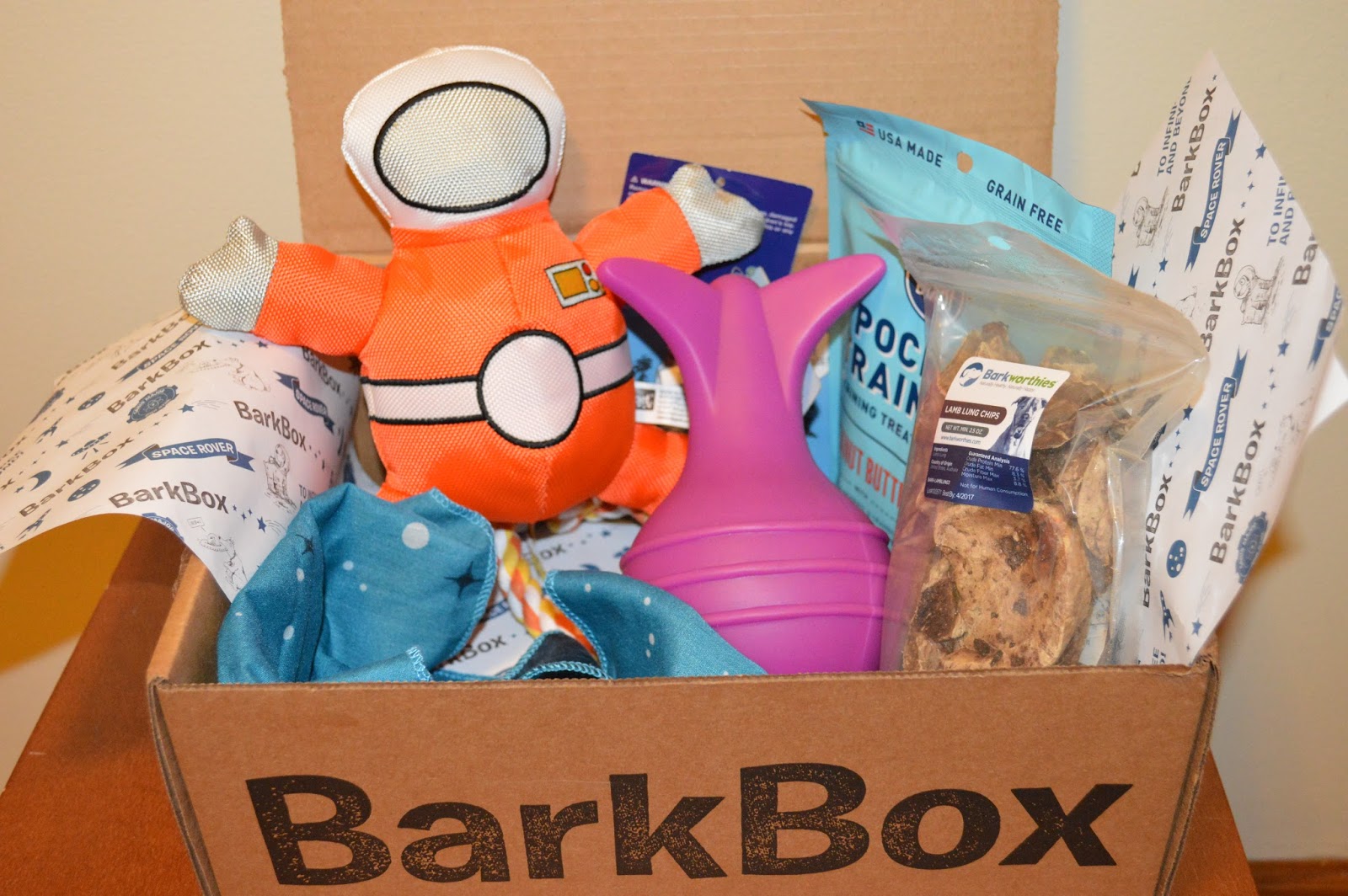 My Rotten Dogs June 2015 BarkBox Review