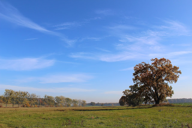 Rożńów, woj. opolskie