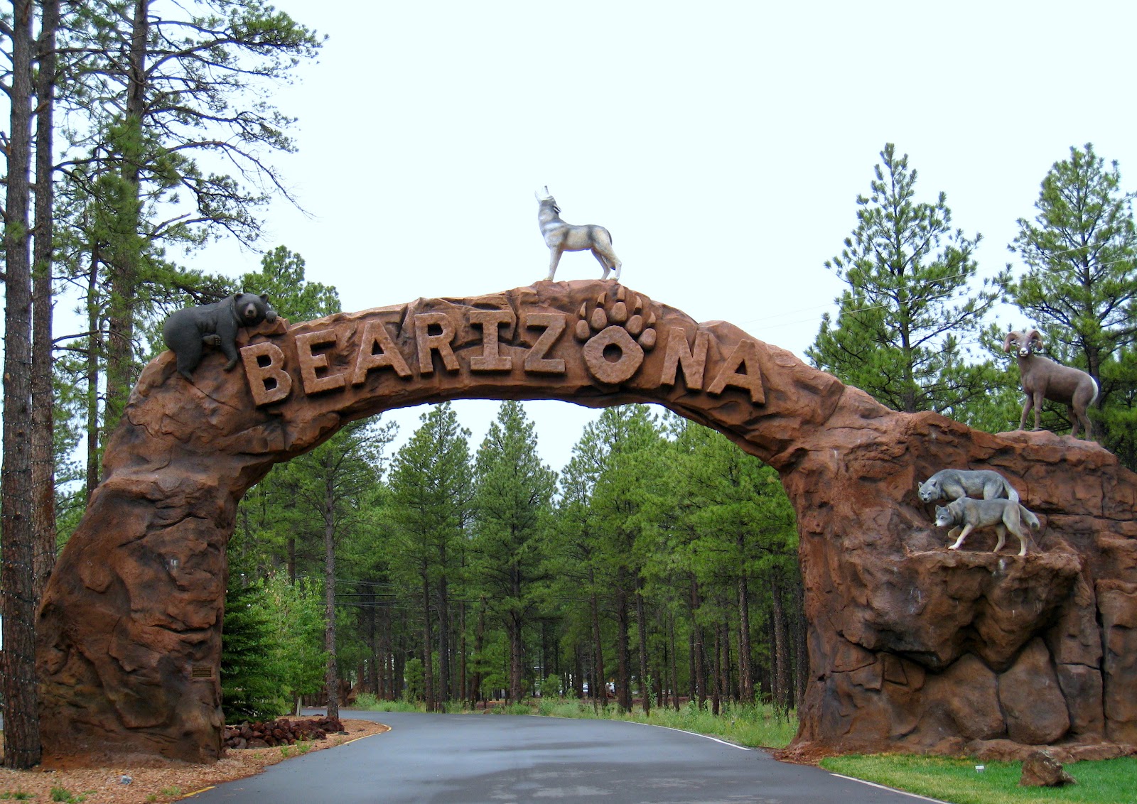 Desert Dabbler Bearizona A Wild, Wild Place