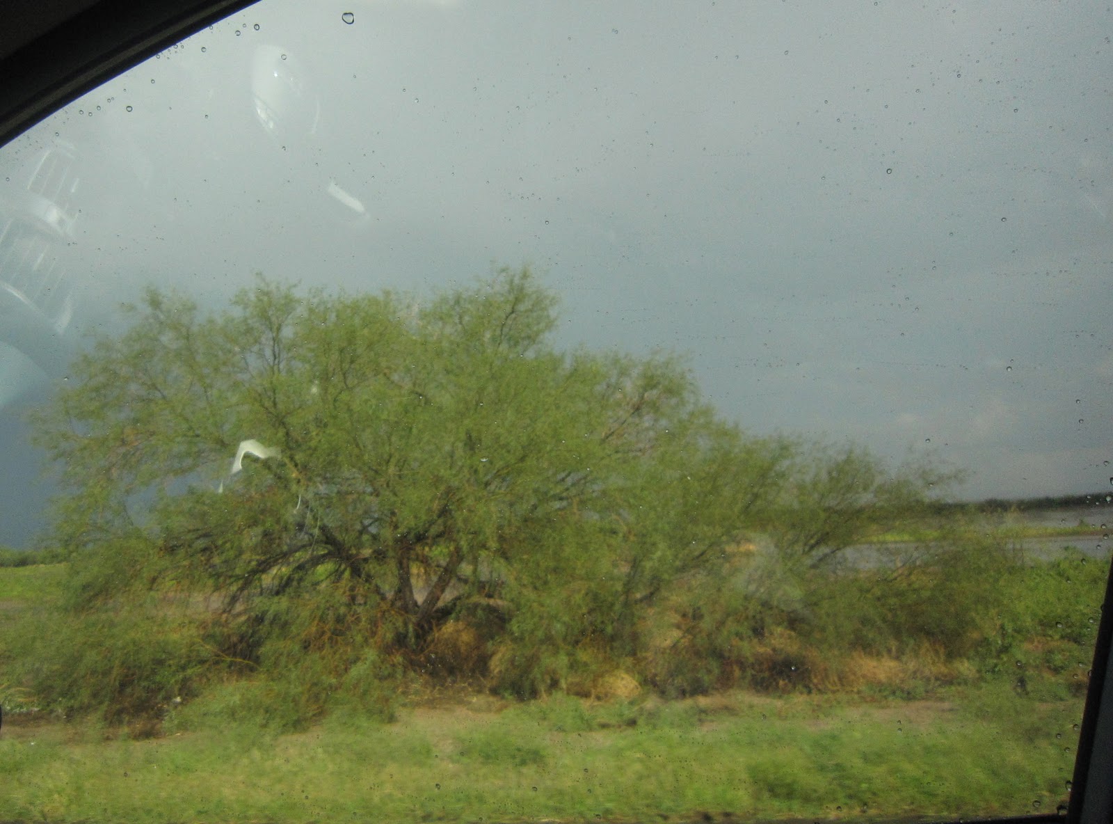 Nature Makes Perfect Scents Sponsored Eclectic Momsense