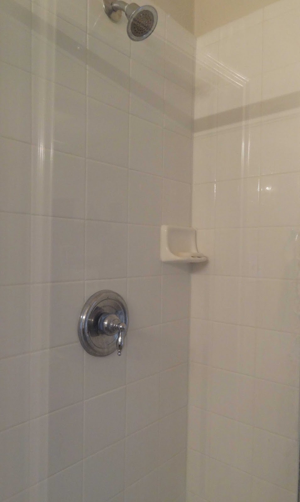 McKinney Mommas No More Scrubbing! Wet & Weekly Shower Spray