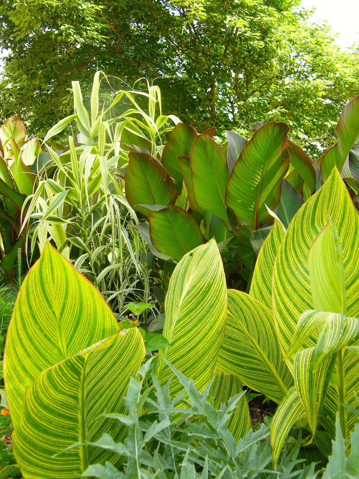 P O T A G E R Meadowbrook Acres Garden Tour