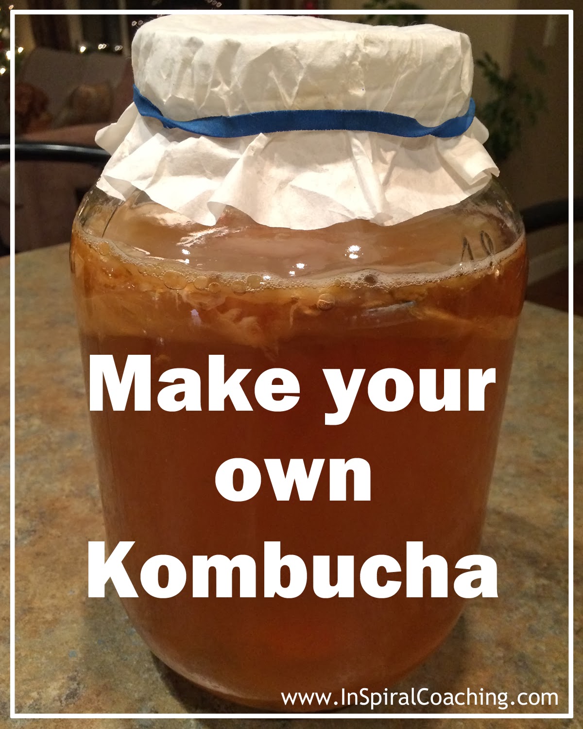Image Result For How To Make My Own Kombucha Labels Kombucha Labels