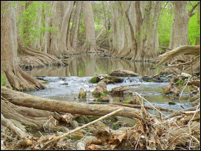 Small waterfall in the Cibolo Nature Preserve in Boerne, Texas