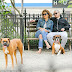 Η Τζένιφερ, ο Κάσπερ και οι σκύλοι στο πάρκο...