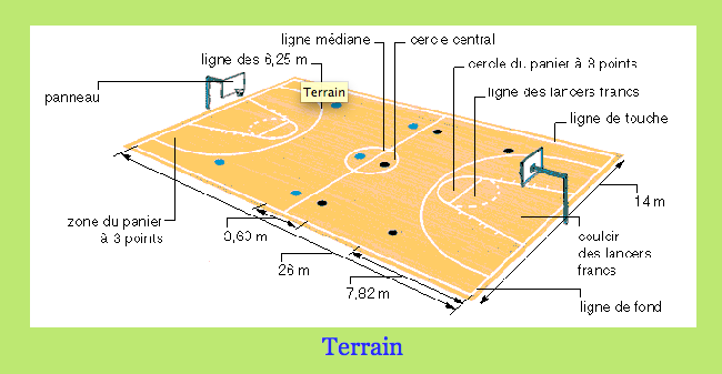 Basketball Court вид сверху