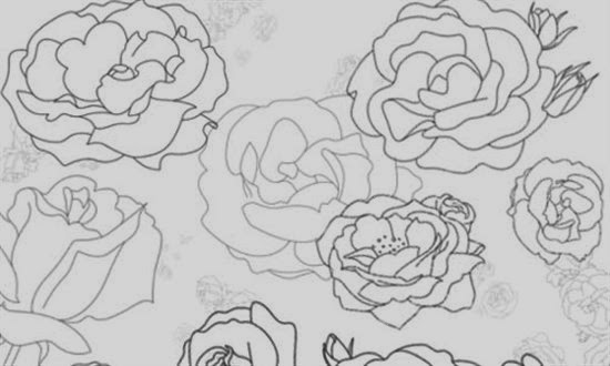 Photoshop Roses Brushes Photoshop Roses Brushes