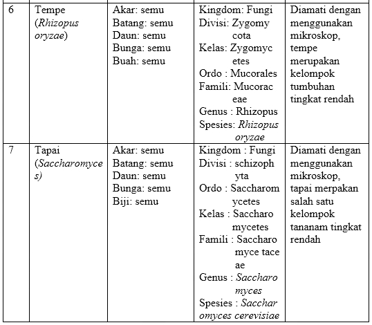 Contoh Laporan Praktikum Biologi Umum Klasifikasi Tumbuhan