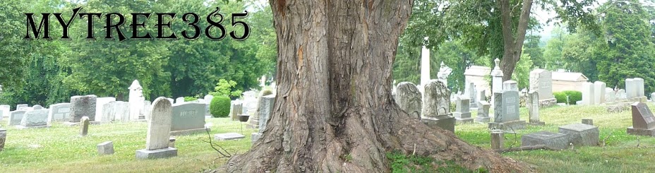 Genealotree