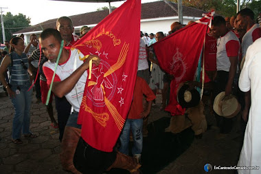 Folia do Divino Espírito Santo