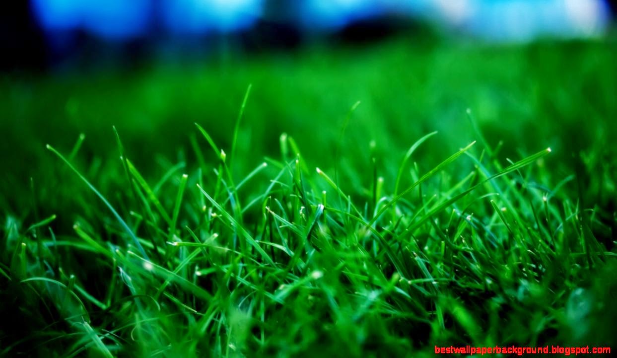 Beautiful HD Fresh Wallpaper Nature Desktop Wallpaper Beautiful HD Fresh Wallpaper Nature Desktop Wallpaper