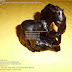 Wood Statue & Sculptures Seni Ukir Patung Kuda Mini Kayu Eboni Hitam Model 2