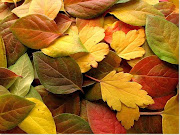 El otoño. Vocabulario en imágenes. fallleaves thumb