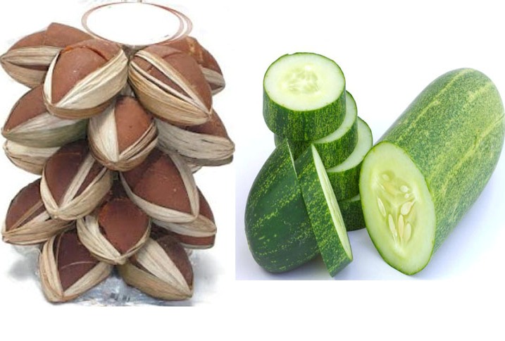 Cara Membuat Minuman Penambah Tenaga Ayam sebelum Bertarung | Ayam Juara