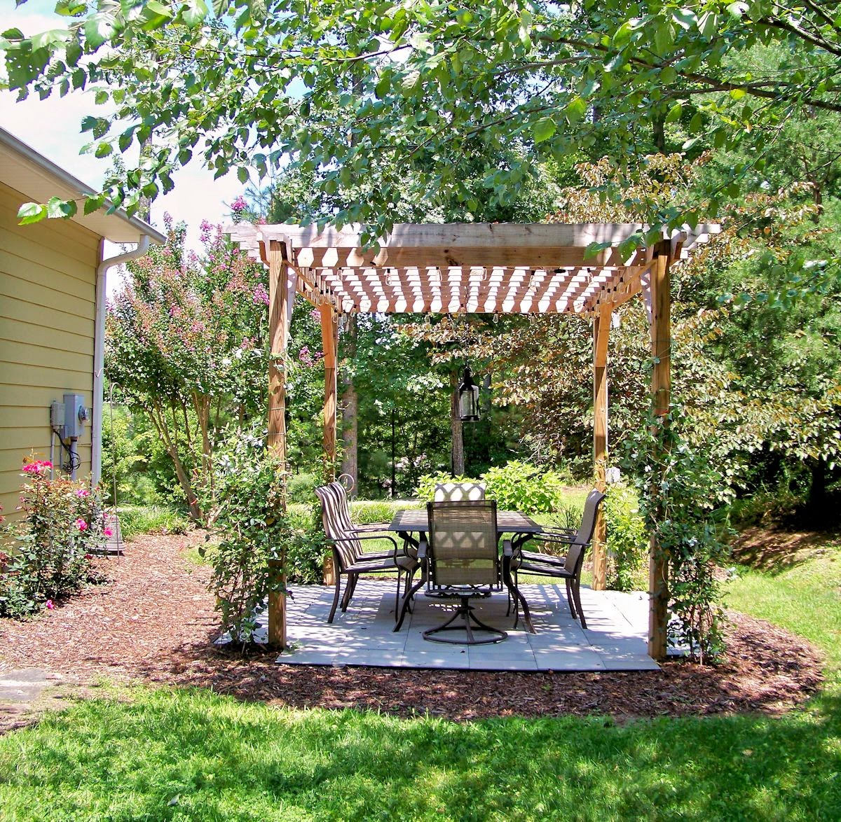 The Comforts of Home Honeysuckle Vines and the Pergola