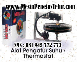 Thermostat Thermostat