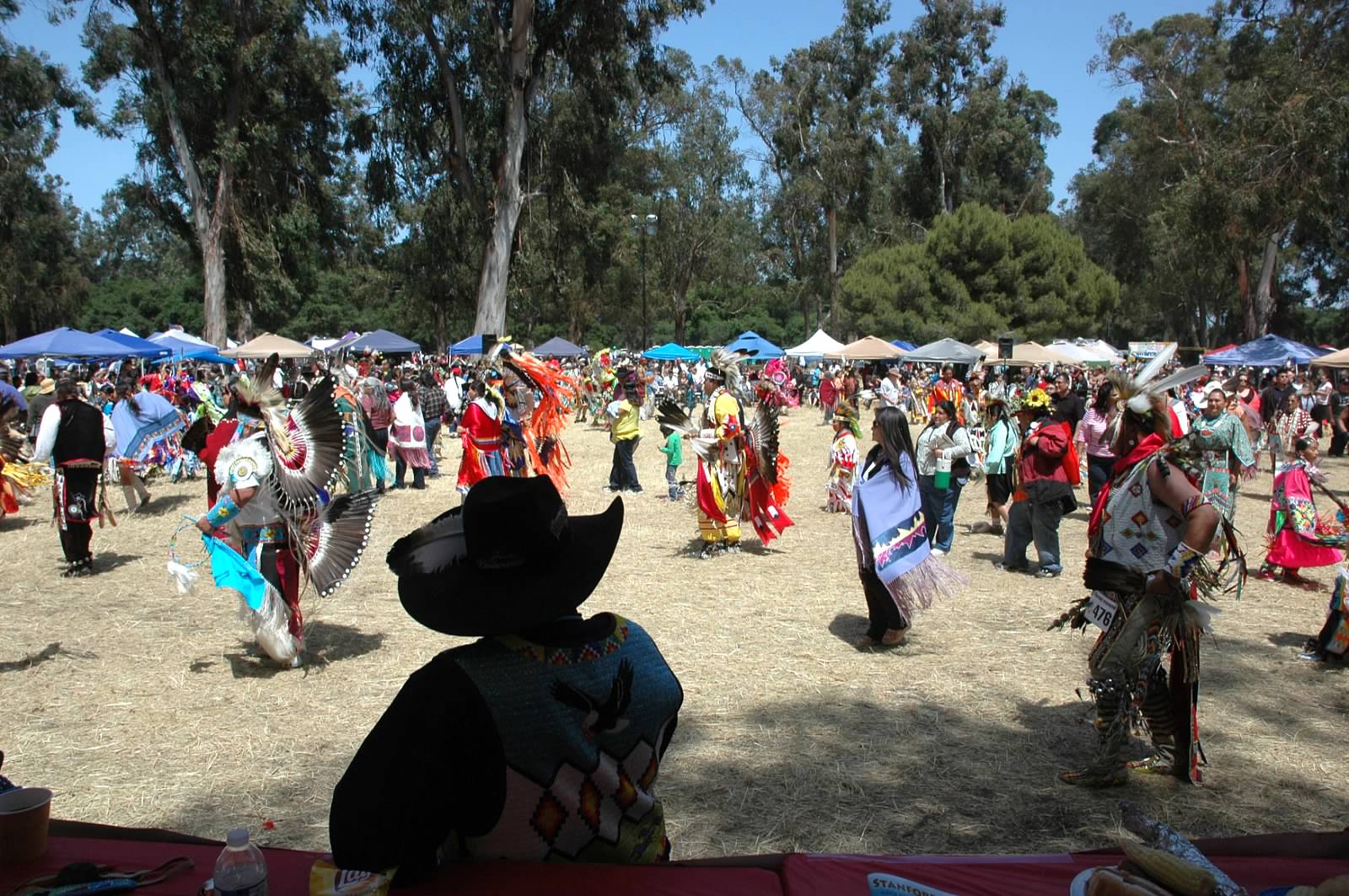 White Wolf Honoring Diversity, and Moms, at Stanford University Pow