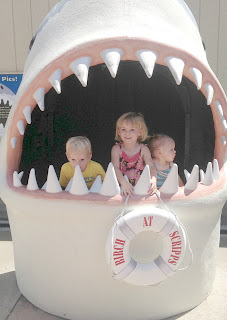 Shark with 3 kids 1 Shark with 3 kids 1
